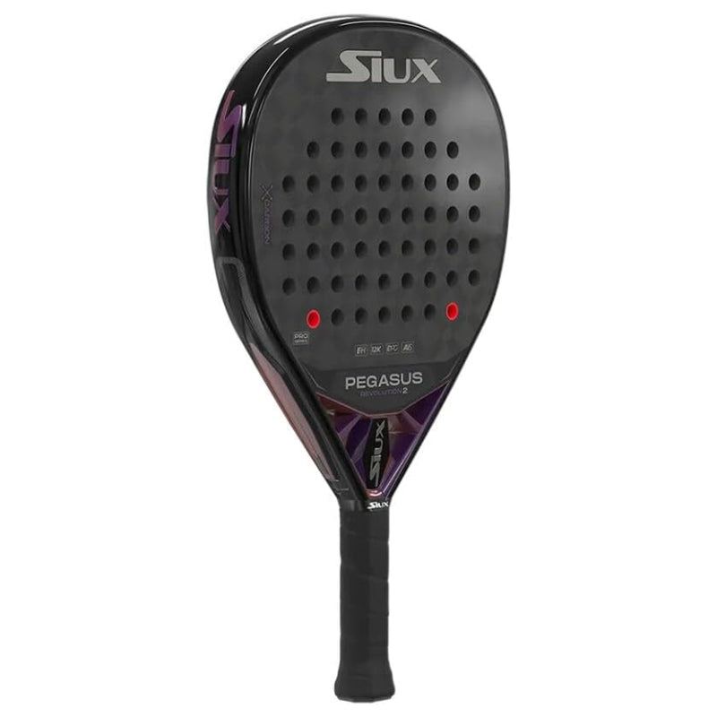 Siux Pegasus Revolution 2 2024 profil
