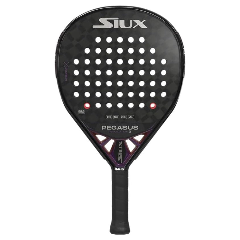 Siux Pegasus Revolution 2 2024